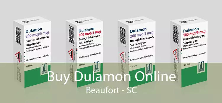 Buy Dulamon Online Beaufort - SC