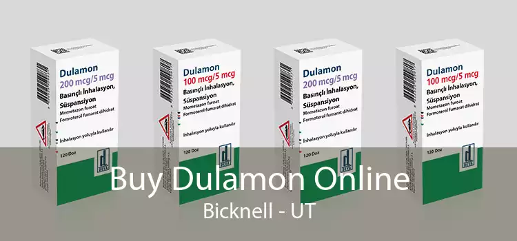 Buy Dulamon Online Bicknell - UT