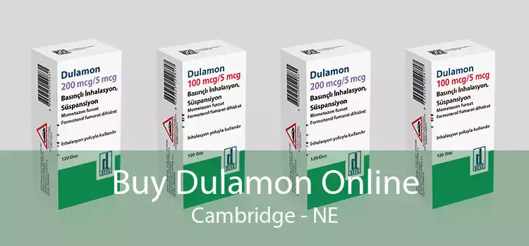 Buy Dulamon Online Cambridge - NE