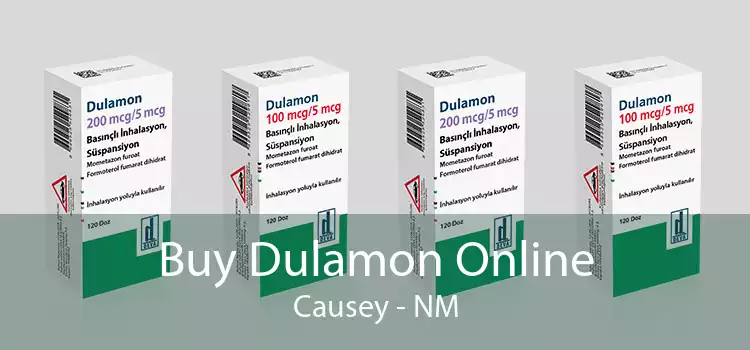 Buy Dulamon Online Causey - NM